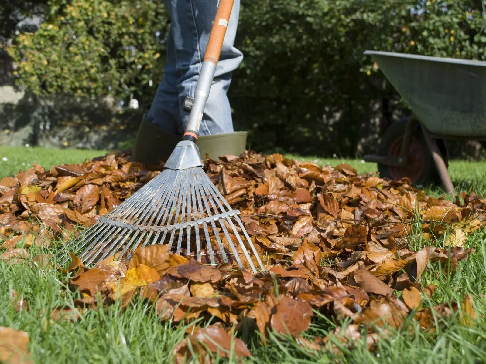 General Clean Up